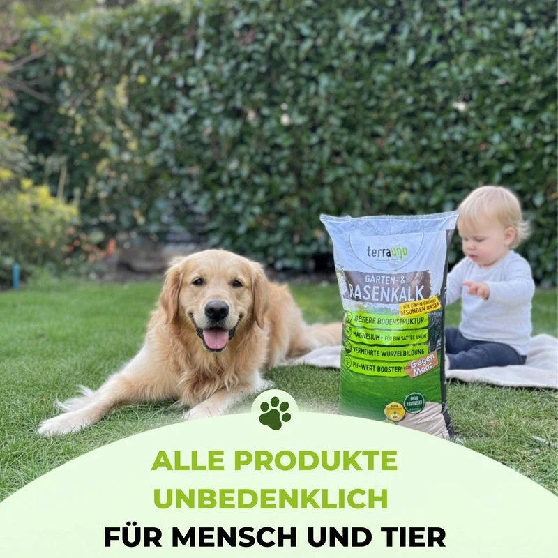 Frühlingsstarter-Set