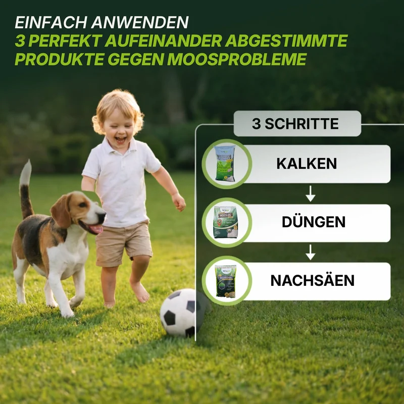 Moosfrei Soforthilfe Set