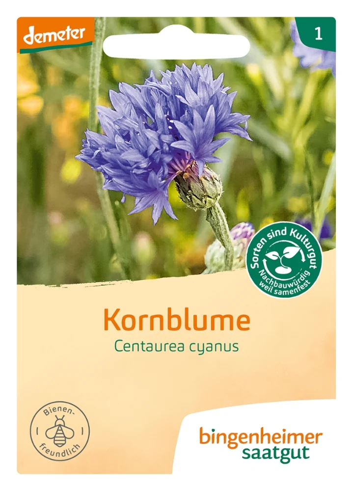 BIO Saatgut Kornblume