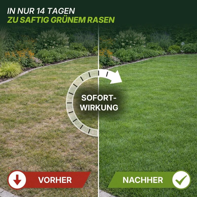Rasendünger Sommer und Frühling