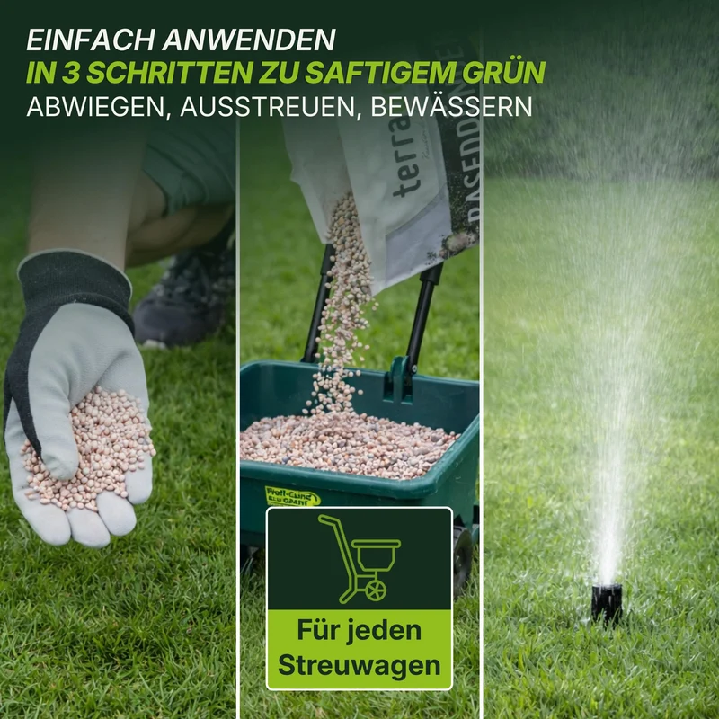 Rasendünger Sommer und Frühling