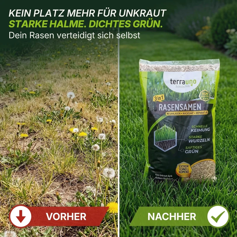 Rasensamen - Nachsaat, Reparatur und Neuanlage