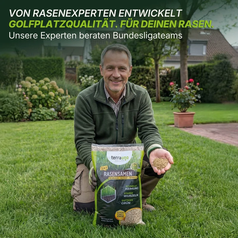 Rasensamen - Nachsaat, Reparatur und Neuanlage