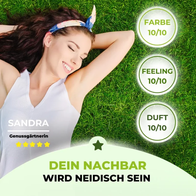 Rasensamen - Nachsaat, Reparatur und Neuanlage
