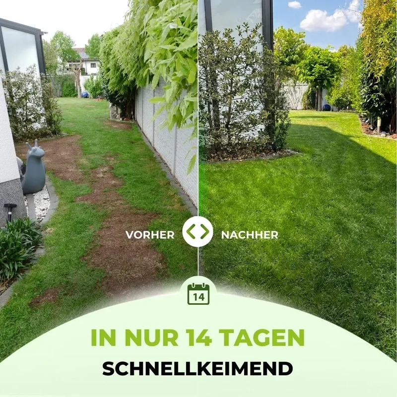Rasensamen - Nachsaat, Reparatur und Neuanlage