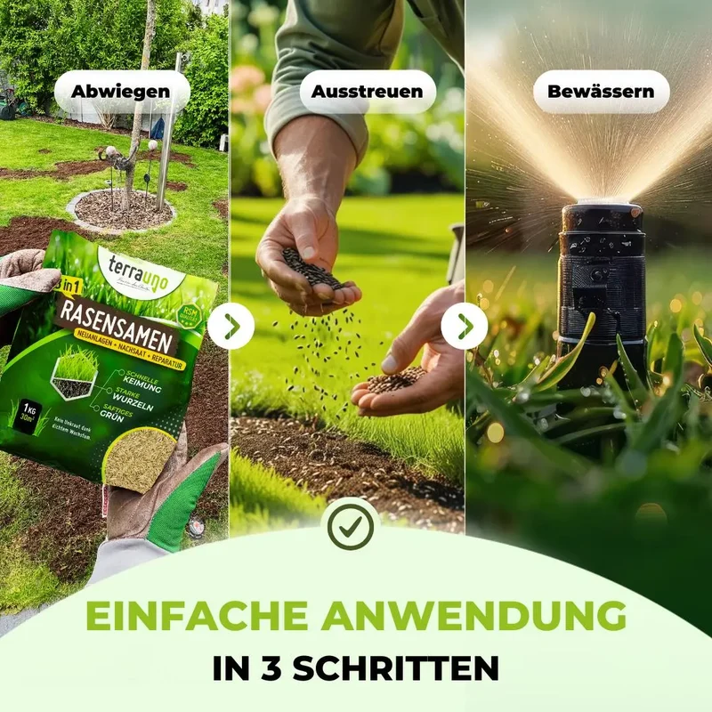 Rasensamen - Nachsaat, Reparatur und Neuanlage