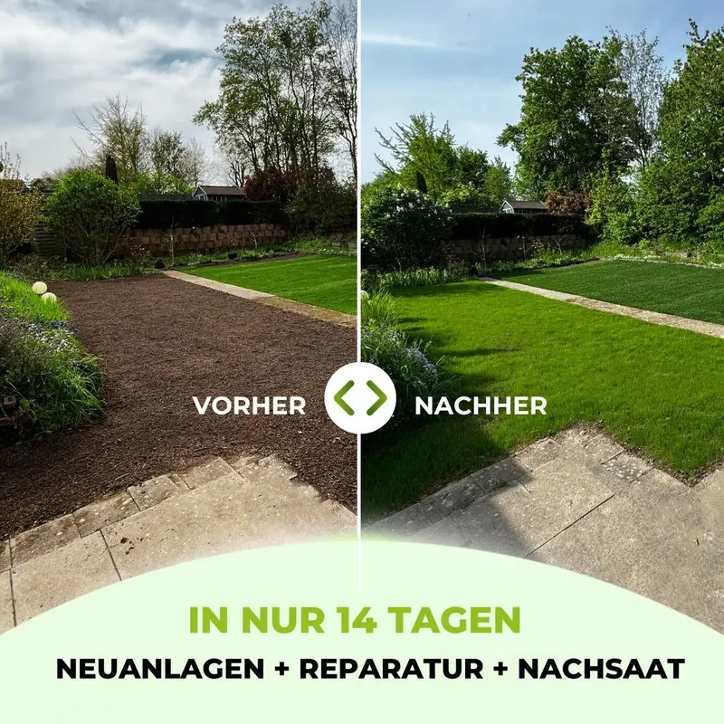 Rasensamen - Nachsaat, Reparatur und Neuanlage