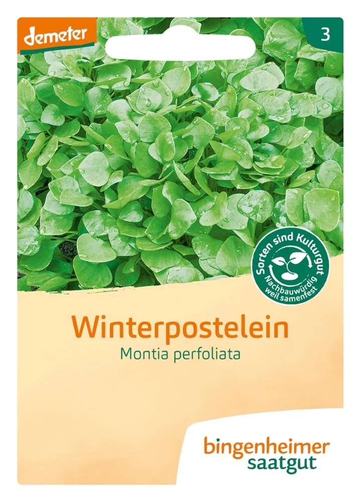 Saatgut-Set Gemüsebeet - Frisches Gemüse bis in den Winter