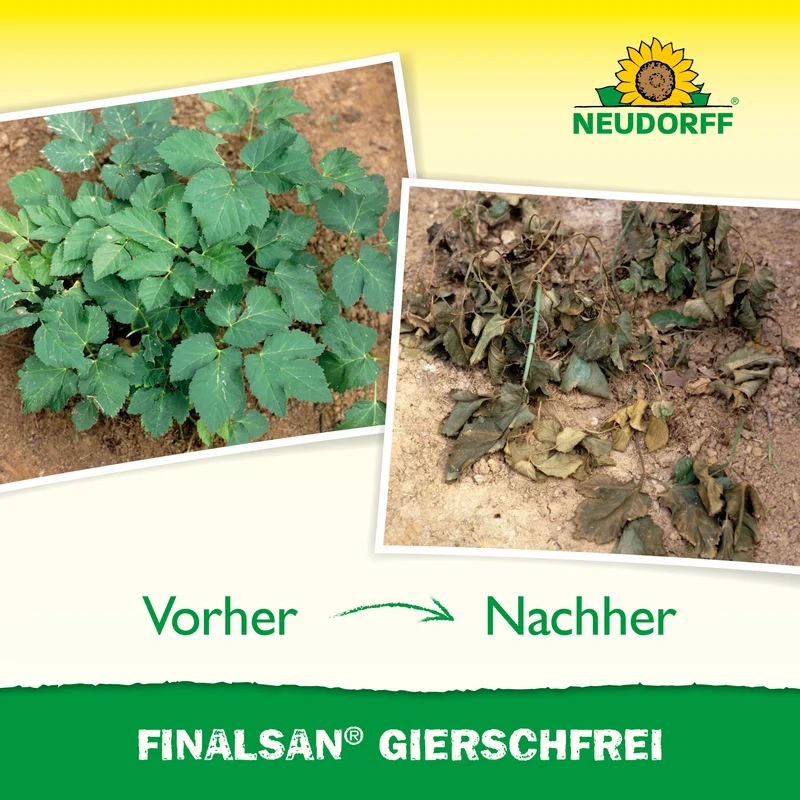 Neudorff Finalsan GierschFrei