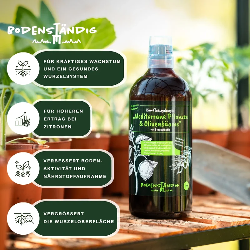Bodenständig Bio-Flüssigdünger für Olivenbäume & mediterrane Pflanzen, 1 l