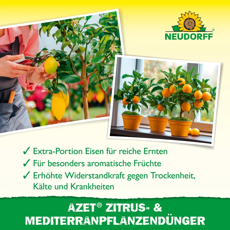 Neudorff Azet Zitrus- & MediterranpflanzenDünger