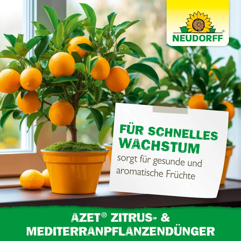 Neudorff Azet Zitrus- & MediterranpflanzenDünger