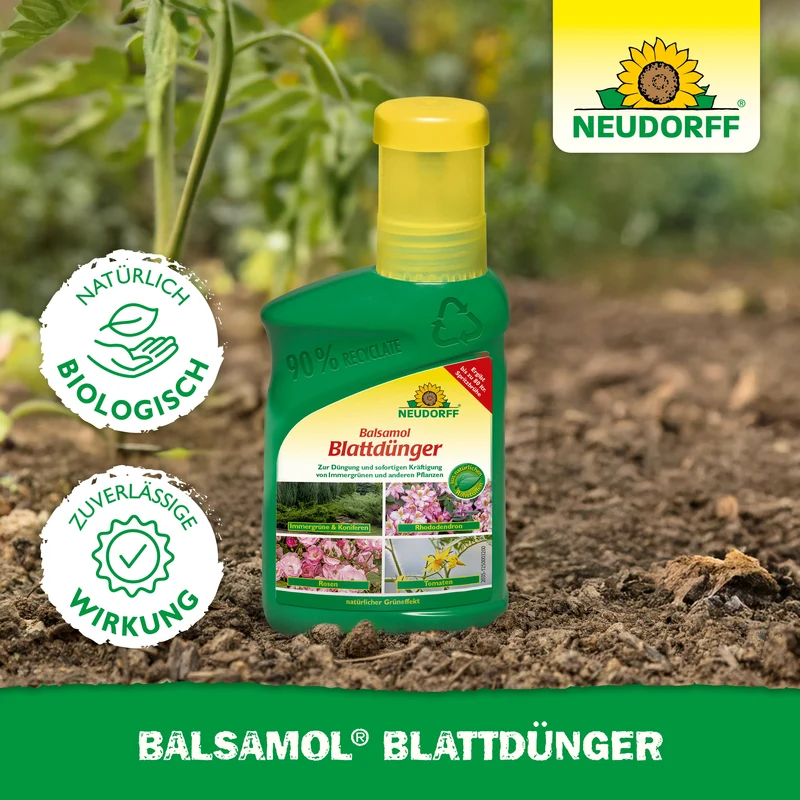Neudorff Balsamol Blattdünger