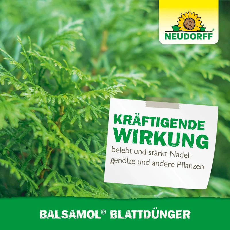 Neudorff Balsamol Blattdünger