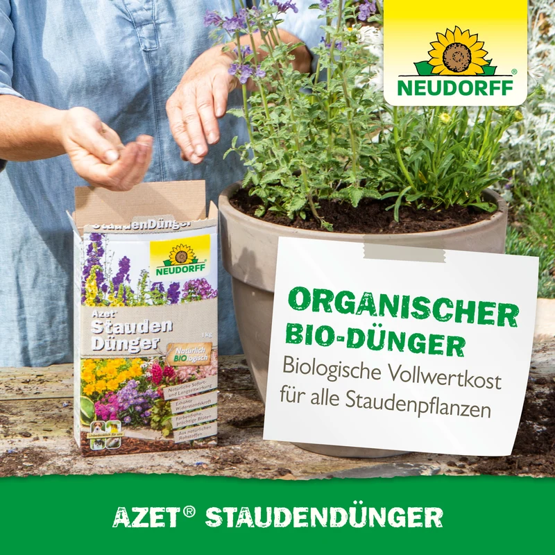 Neudorff Azet StaudenDünger