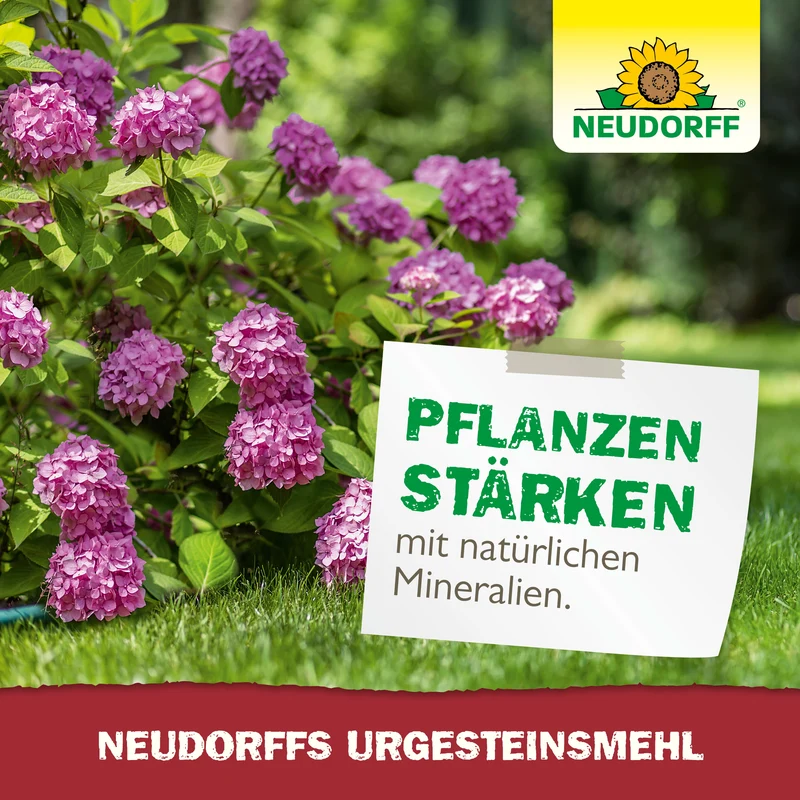 Neudorffs UrgesteinsMehl