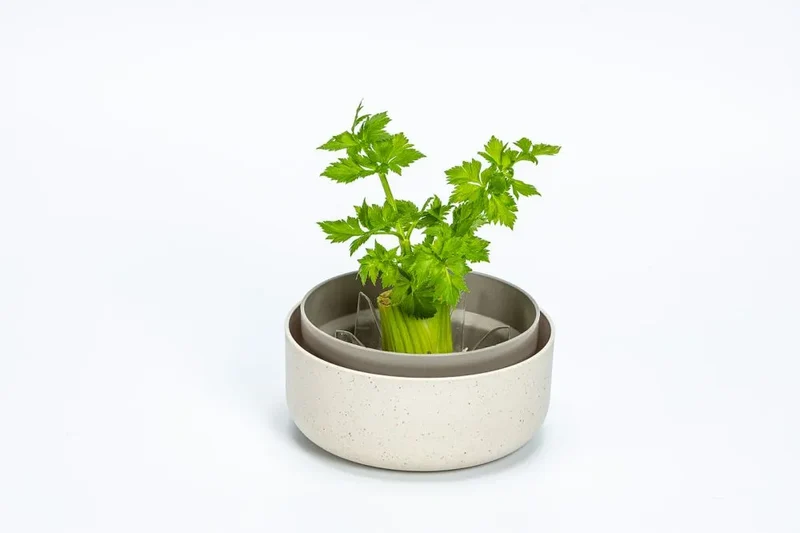 Variable Rippen für Regrow