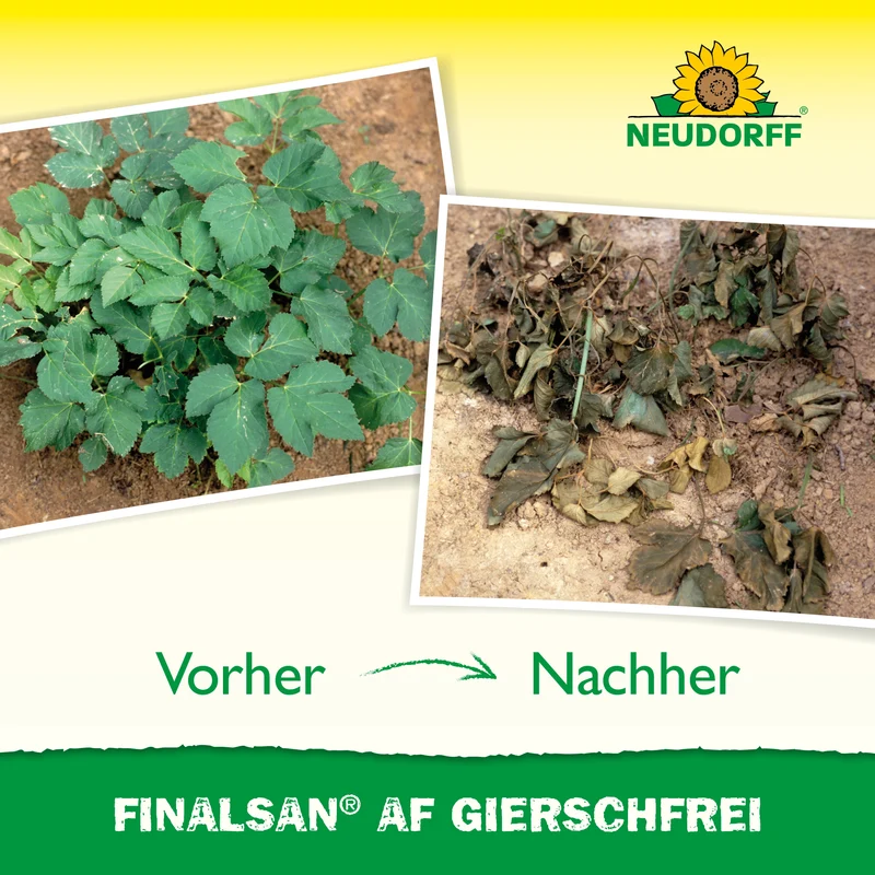 Neudorff Finalsan AF GierschFrei