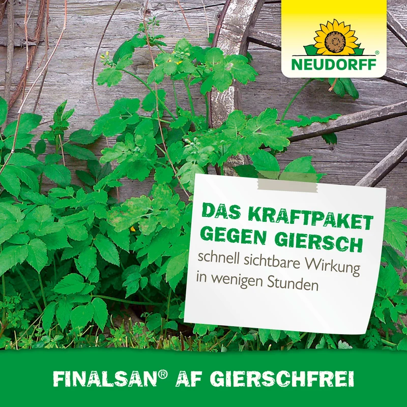 Neudorff Finalsan AF GierschFrei
