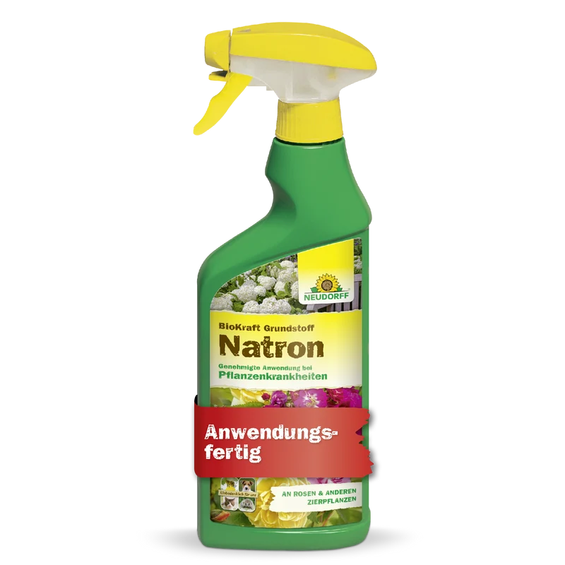 Neudorff BioKraft Grundstoff Natron