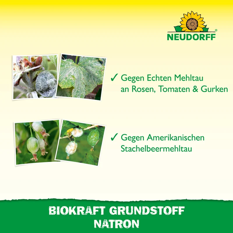Neudorff BioKraft Grundstoff Natron