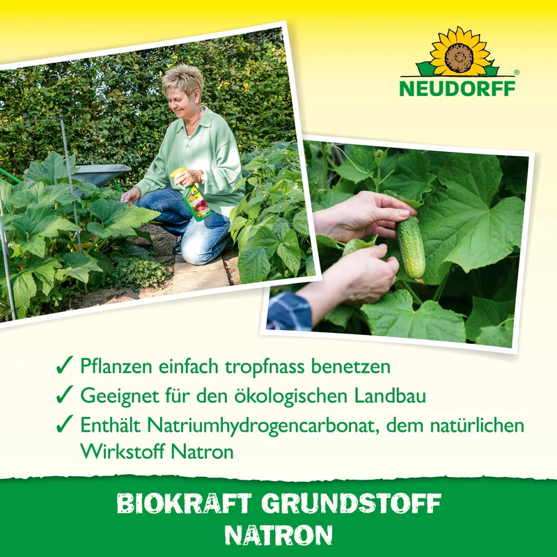Neudorff BioKraft Grundstoff Natron