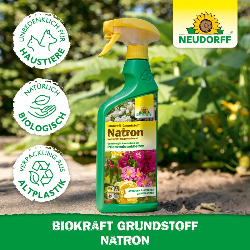 Neudorff BioKraft Grundstoff Natron