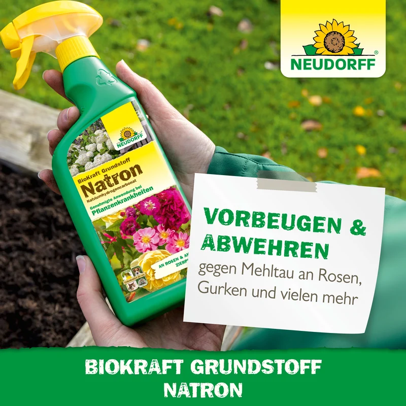 Neudorff BioKraft Grundstoff Natron