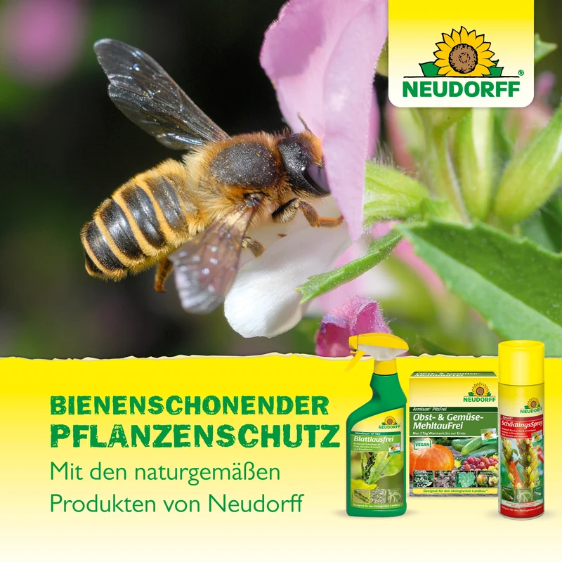 Neudorff BioKraft Grundstoff Natron