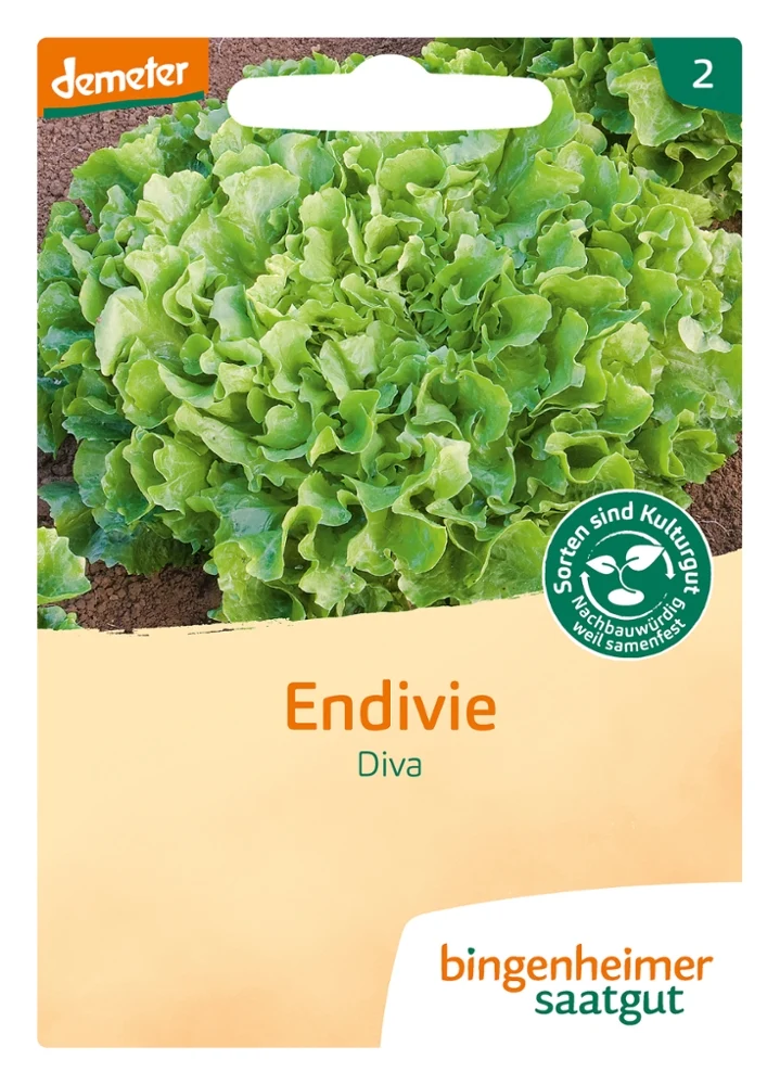 BIO Saatgut Endivie Mascha (Diva)