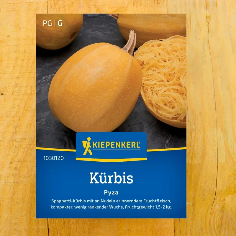 Spaghetti-Kürbis Pyza