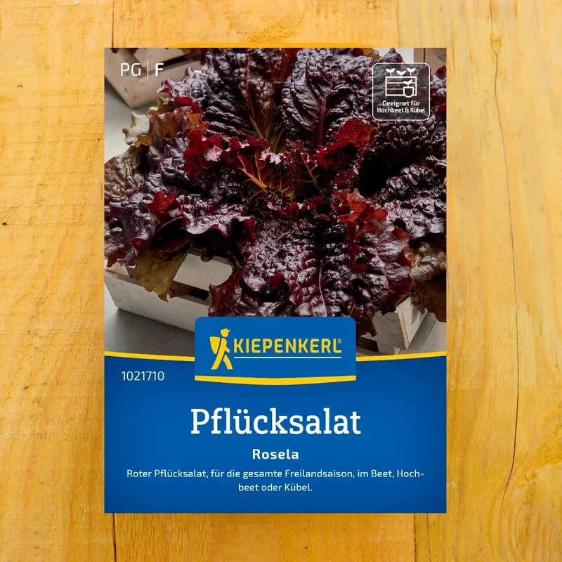 Pflücksalat Rosela