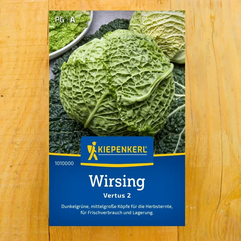 Wirsing Vertus 2