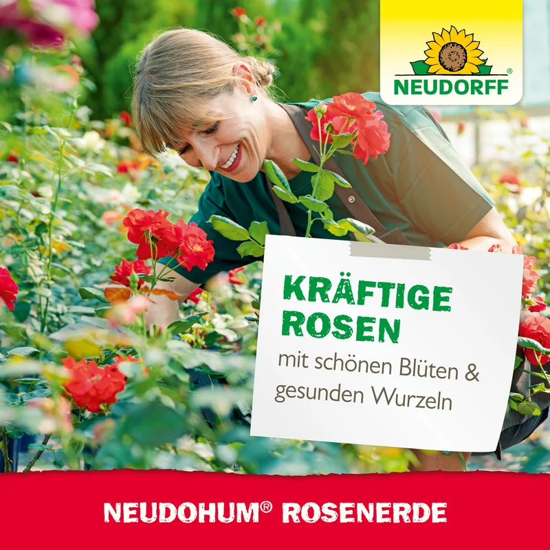 Neudorff NeudoHum RosenErde
