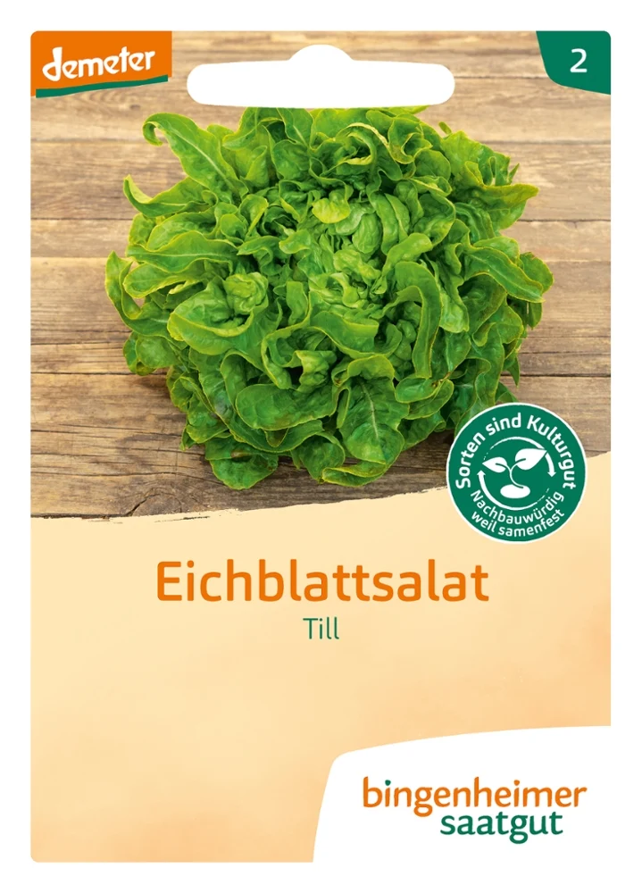 Saatgut-Set Salatbeet einfach & schnell