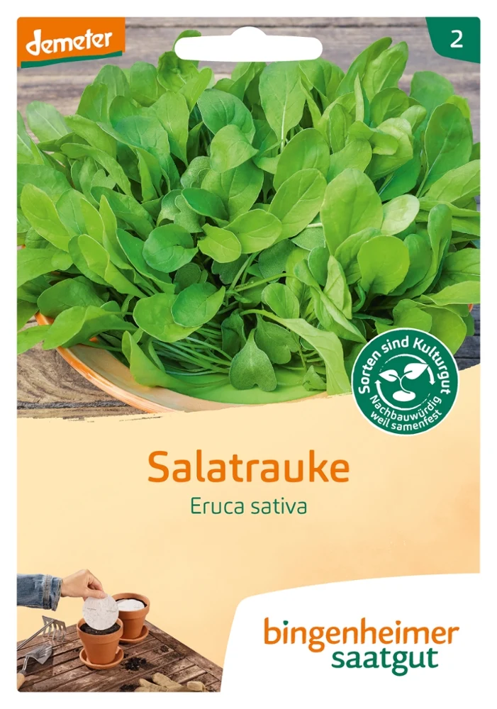 Saatgut-Set Salatbeet einfach & schnell