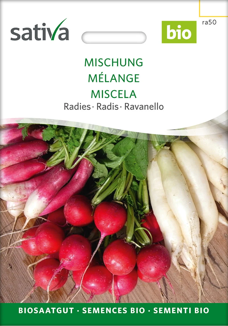 Saatgut-Set Salatbeet einfach & schnell