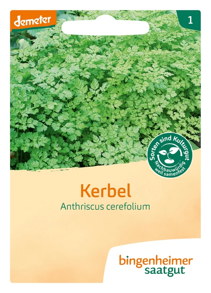 BIO Saatgut Kerbel Verena