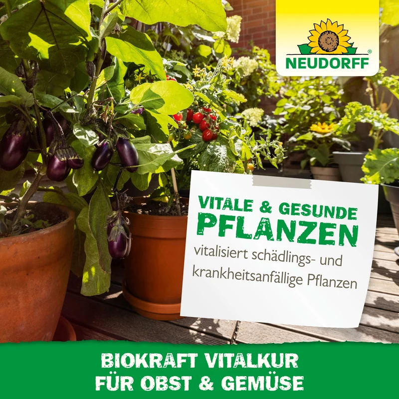 Neudorff BioKraft Vitalkur für Obst und Gemüse