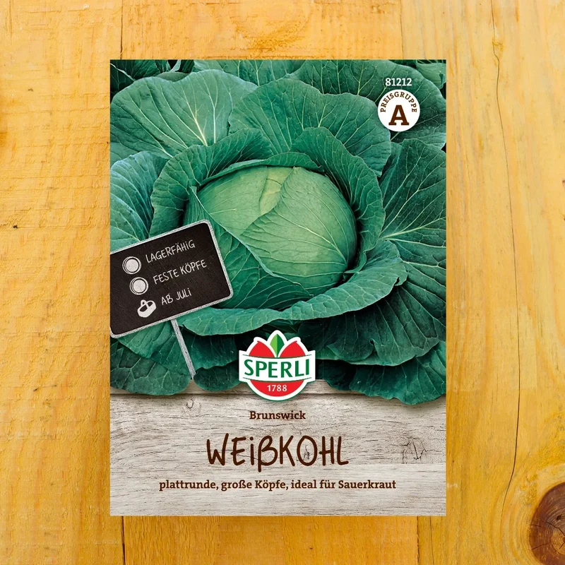 Weißkohl Brunswick