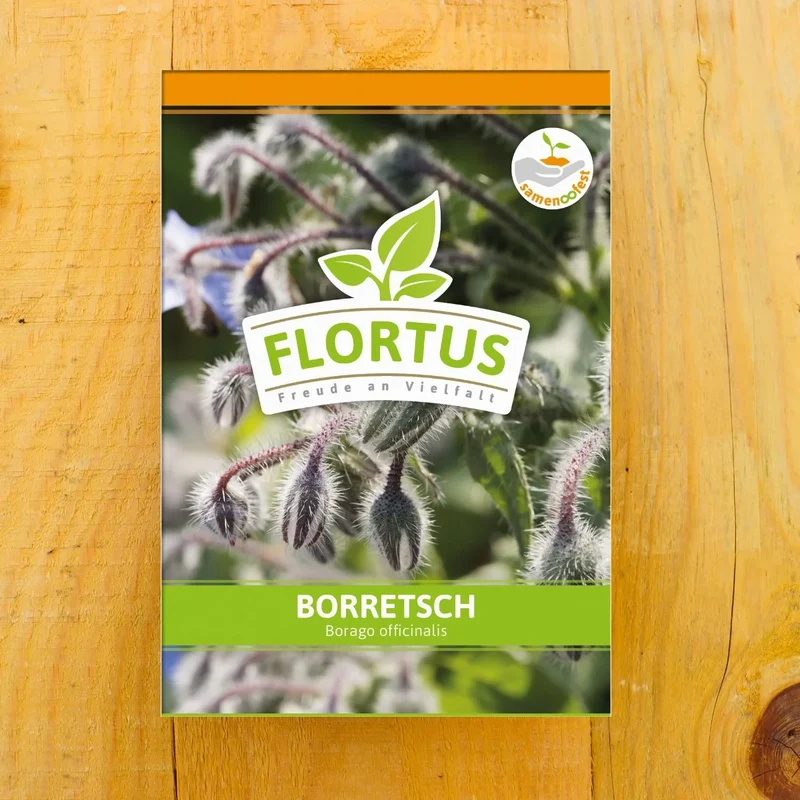 Borretsch
