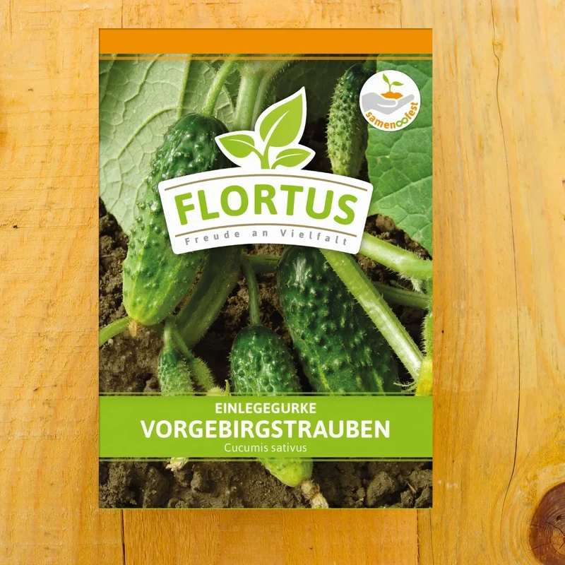 Einlegegurke Vorgebirgstrauben