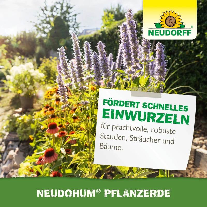 Neudorff NeudoHum PflanzErde