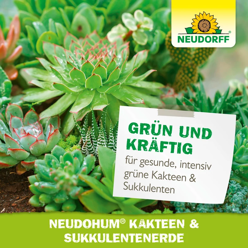 Neudorff NeudoHum Kakteen- & SukkulentenErde