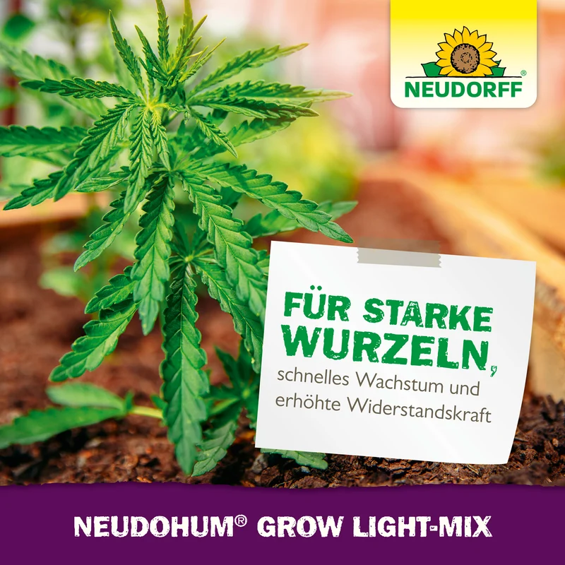 Neudorff NeudoHum Hochbeet- & GewächshausErde