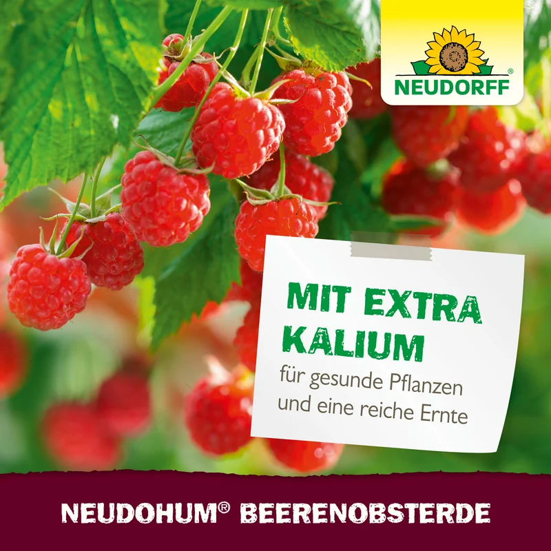 Neudorff NeudoHum BeerenobstErde