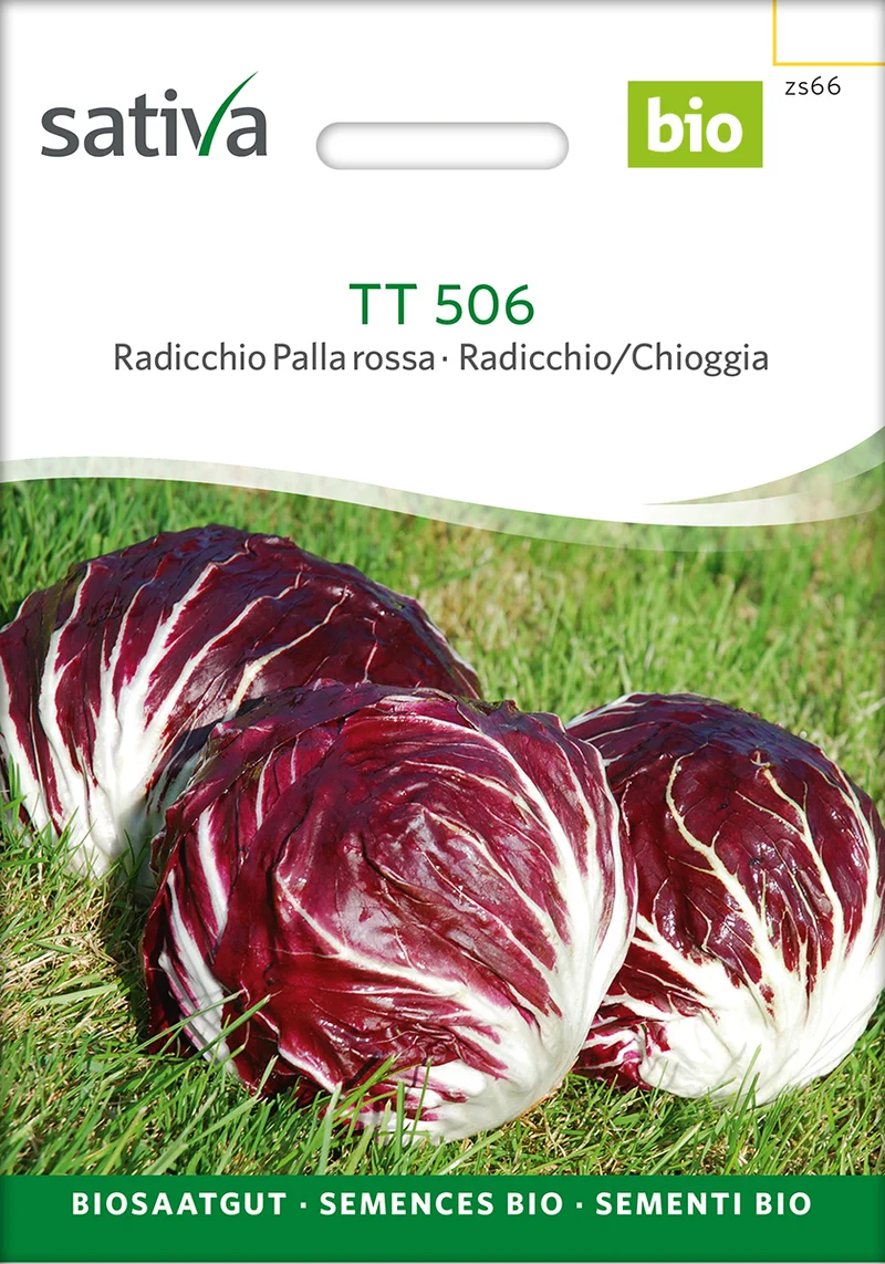 BIO Saatgut Radicchio Palla Rossa TT 506