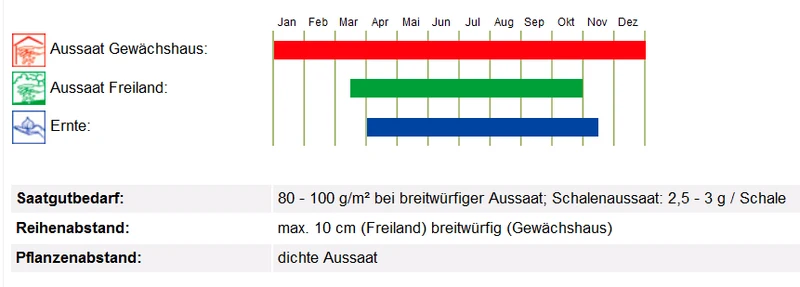 BIO Saatgut Kresse einfache