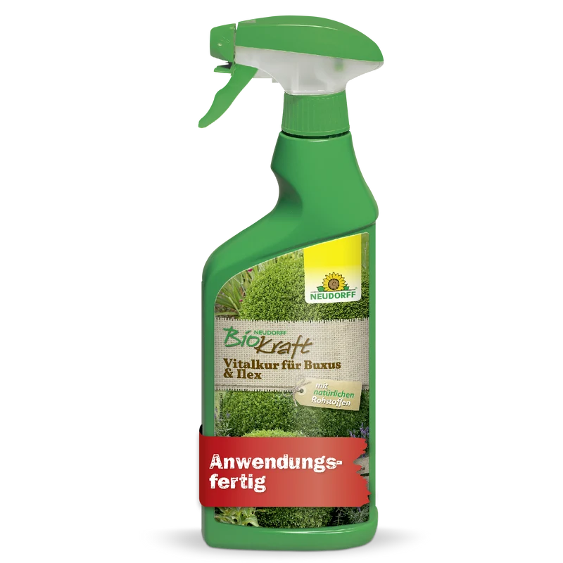Neudorff BioKraft Vitalkur für Buxus & Ilex