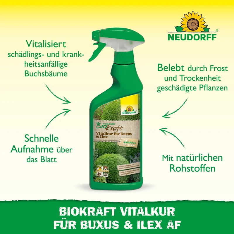 Neudorff BioKraft Vitalkur für Buxus & Ilex